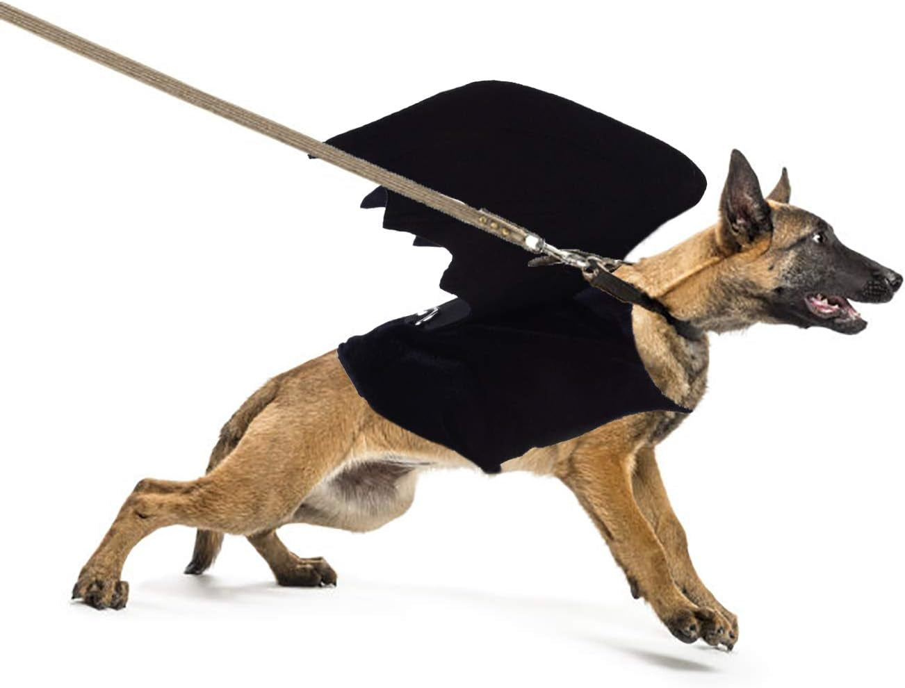 Pet Bat Wings for Dogs, Pet Dog Costume, Bat Wings Pet Christmas Halloween Costumes