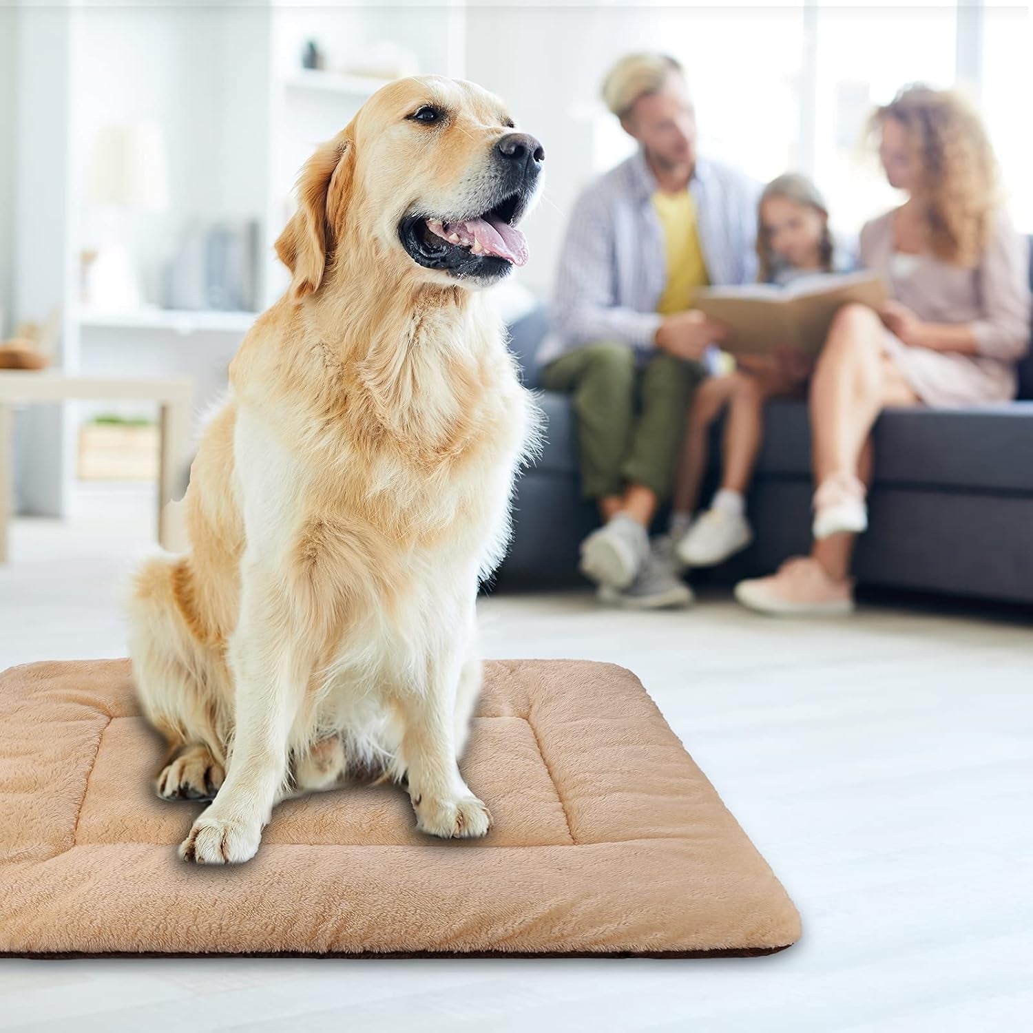 Double-Sided Plush Pet Sleeping Mats, Super Soft Dog Mattresses, Cat Mattresses, Soft Crate Mats, Machine Washable Dog Cage Pet Mats, Kennel Mats for Large, Medium and Small (Large)