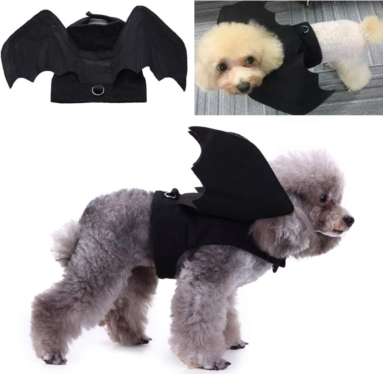 Pet Bat Wings for Dogs, Pet Dog Costume, Bat Wings Pet Christmas Halloween Costumes